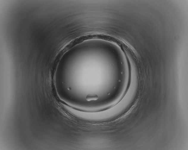 X0000110970969200906261405