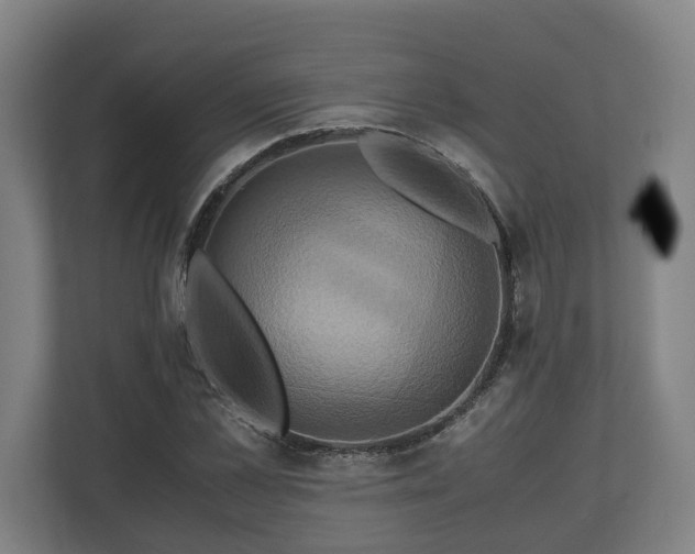 X0000110970973200906261405