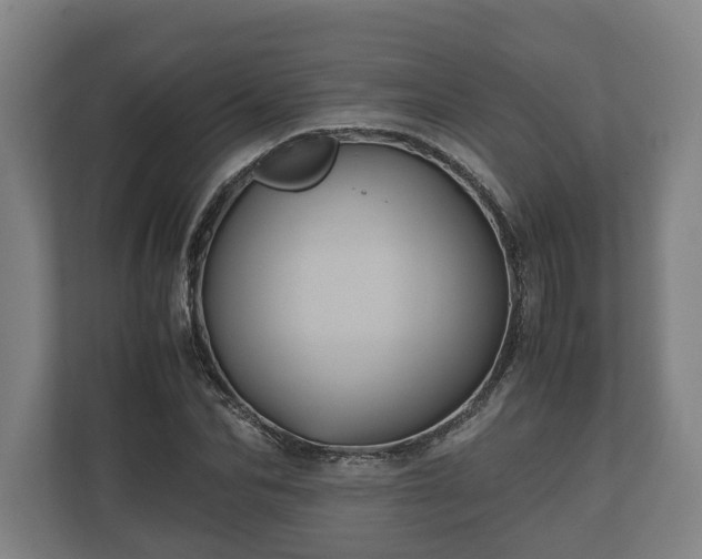 X0000110970974200906261405