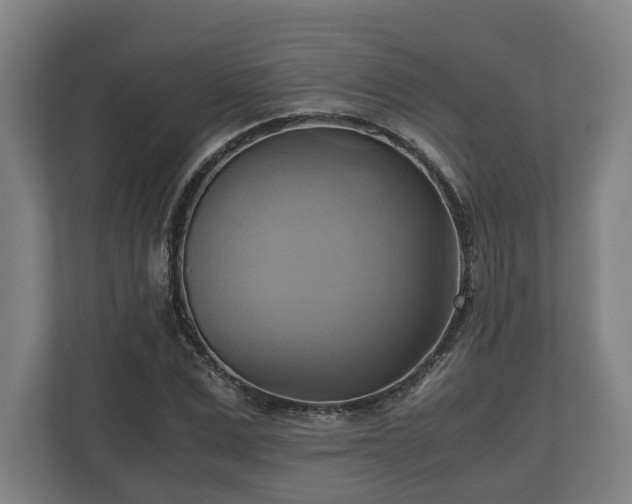 X0000110970975200906261405