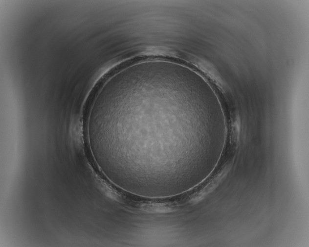 X0000110970976200906261405