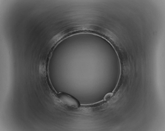 X0000110970977200906261405