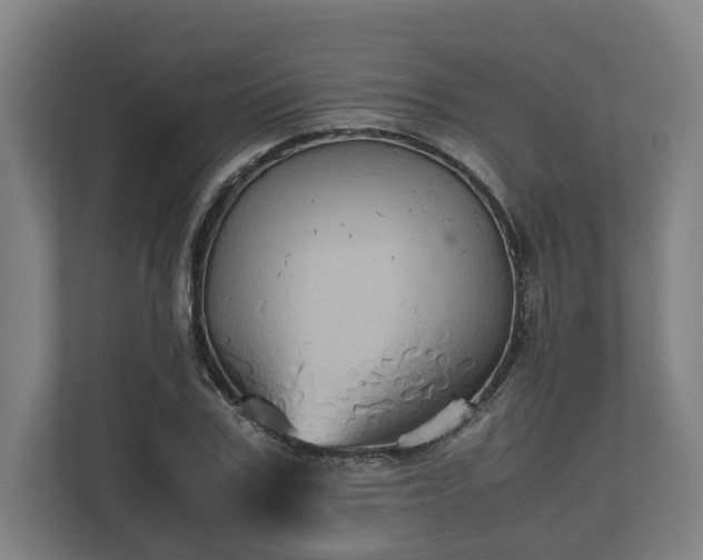 X0000110970979200906261405