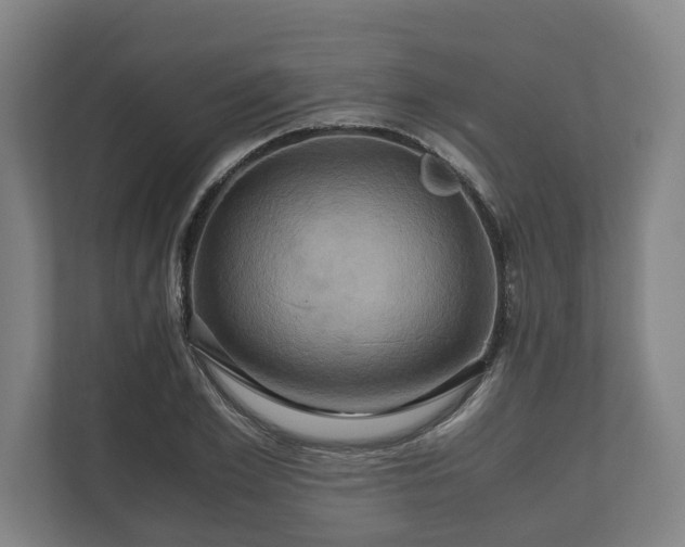 X0000110970981200906261405