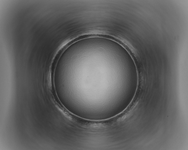 X0000110970982200906261405