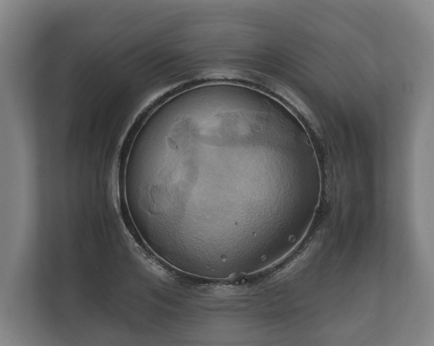 X0000110970984200906261405