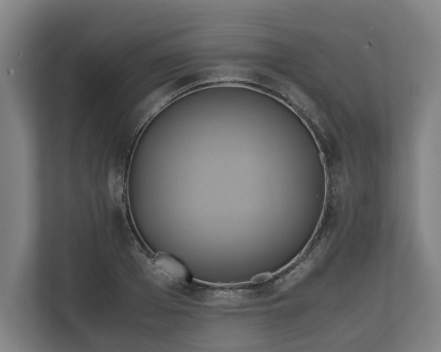 X0000110970985200906261405