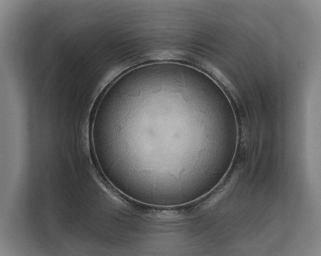 X0000110970986200906261405