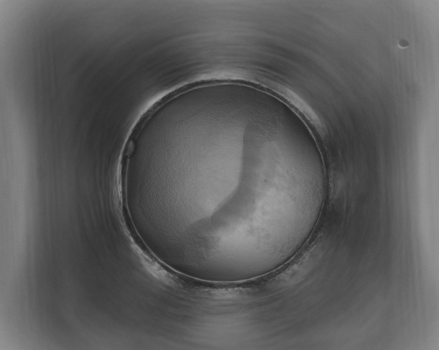 X0000110970988200906261405