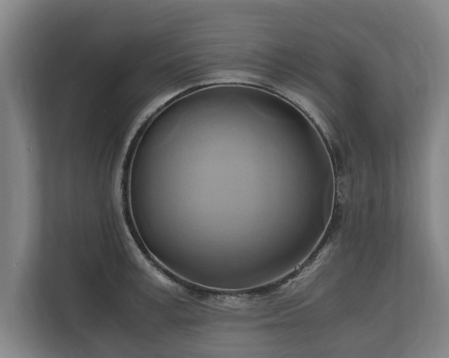 X0000110970995200906261404