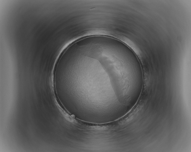 X0000110970996200906261404