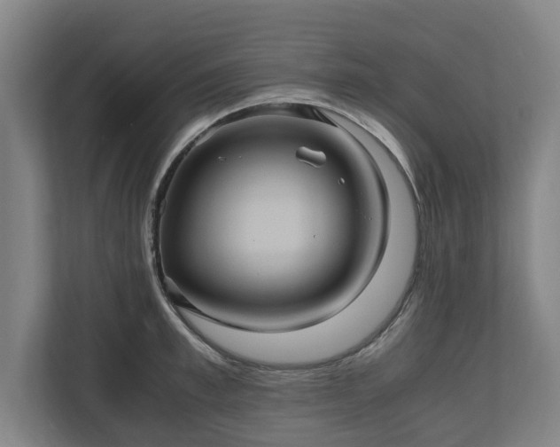 X0000110970997200906261404