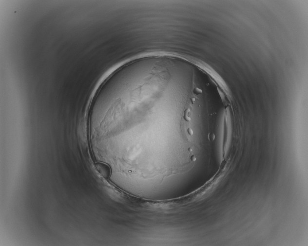 X0000110971004200906261404