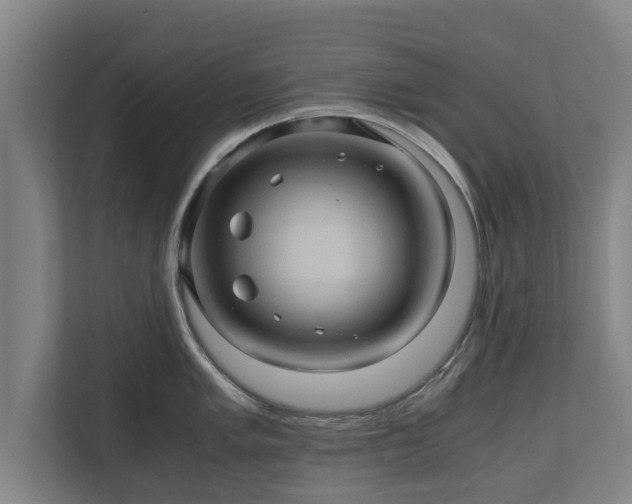 X0000110971005200906261404