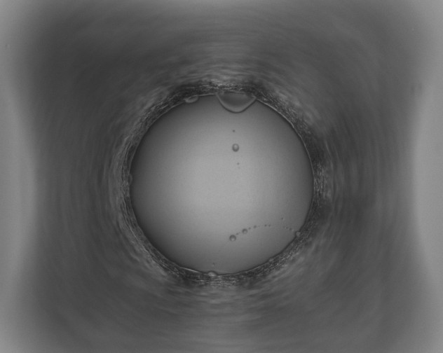 X0000110971009200906261404