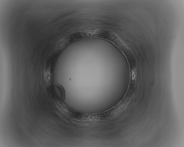 X0000110971011200906261404