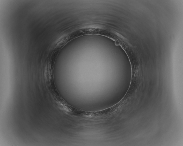 X0000110971014200906261404