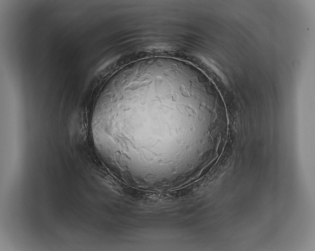 X0000110971015200906261404