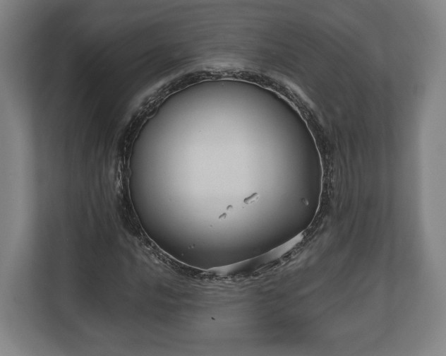 X0000110971016200906261404