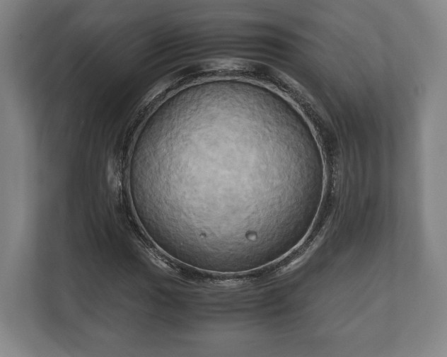 X0000110971017200906261404