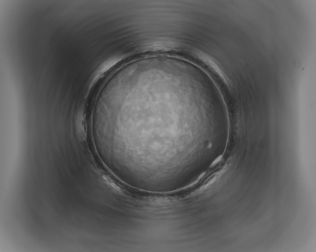 X0000110971018200906261404