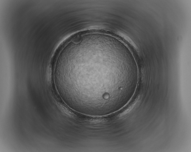 X0000110971021200906261404