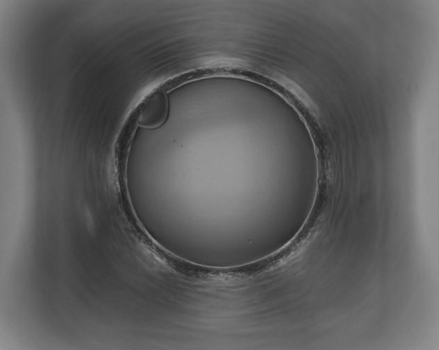 X0000110971022200906261404