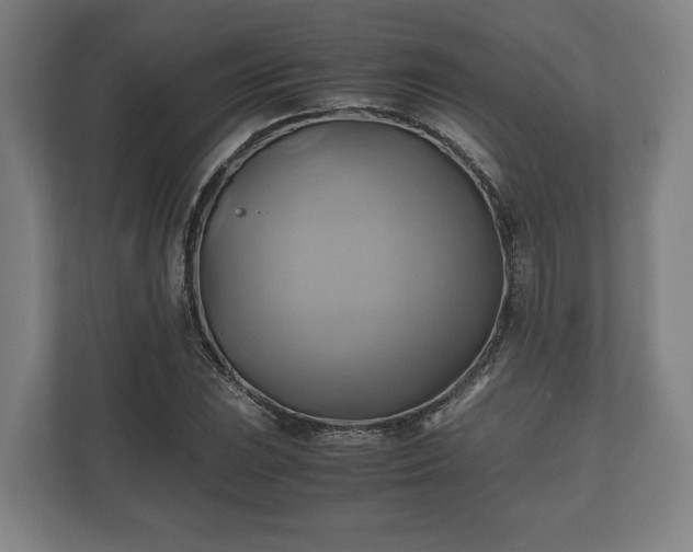 X0000110971023200906261404