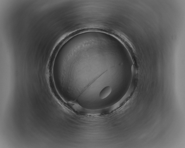 X0000110971024200906261404