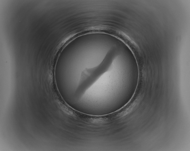 X0000110971025200906261404