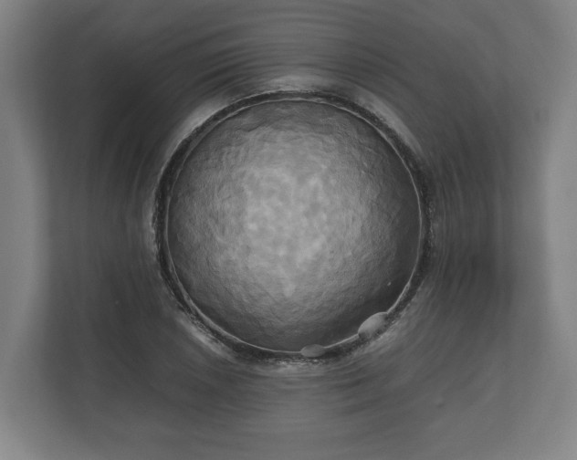 X0000110971026200906261404