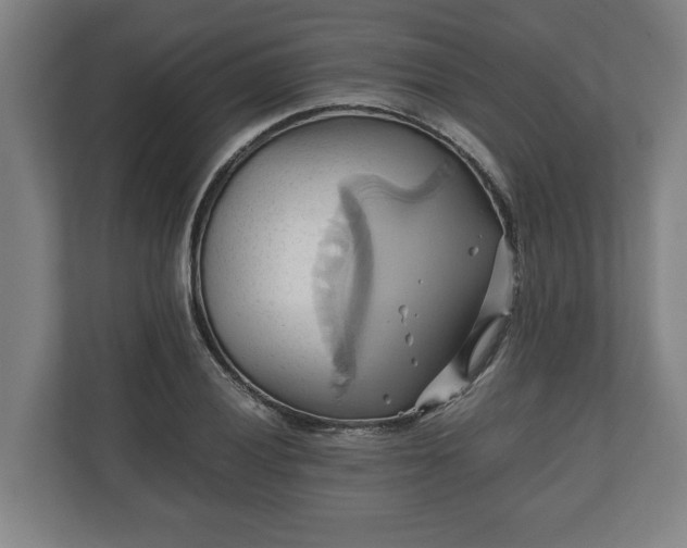 X0000110971028200906261404