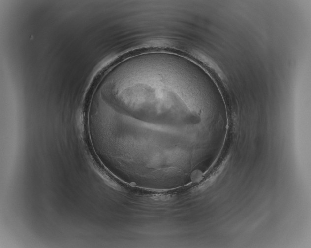 X0000110971029200906261404