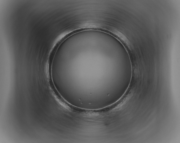 X0000110971030200906261404