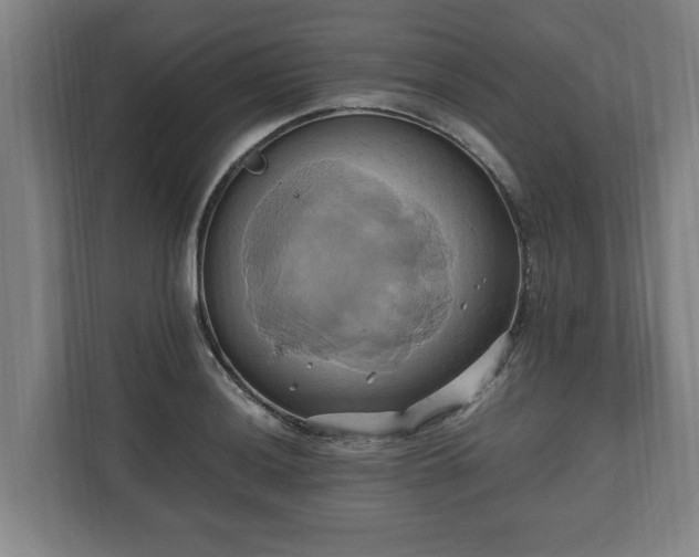 X0000110971036200906261404