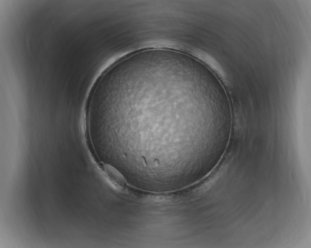 X0000110971040200906261404