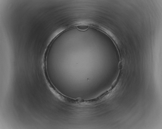 X0000110971042200906261404