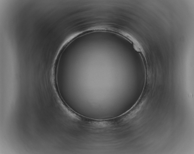 X0000110971045200906261404