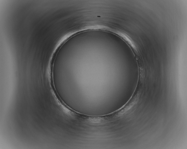 X0000110971046200906261404