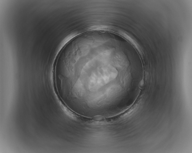 X0000110971050200906261404