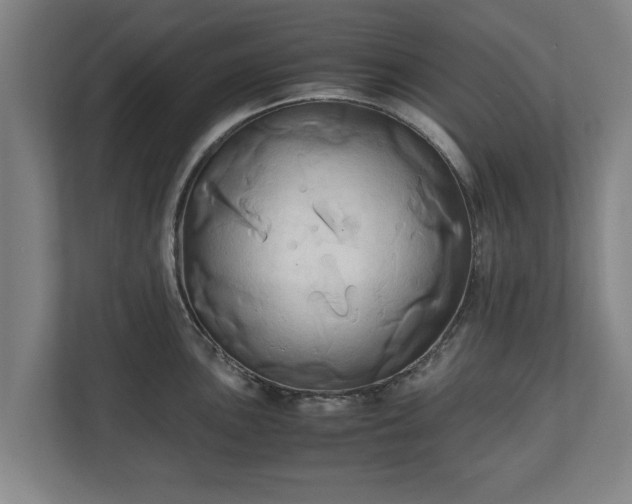 X0000110971051200906261404