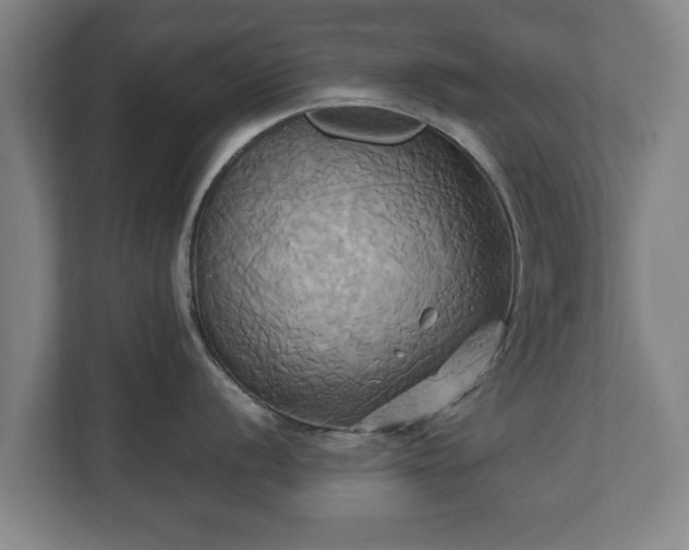 X0000110971056200906261404