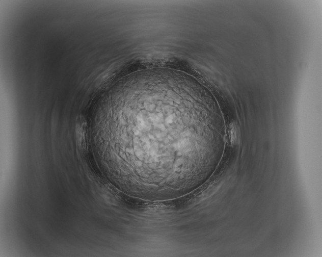 X0000110971059200906261404