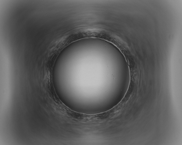 X0000110971061200906261403