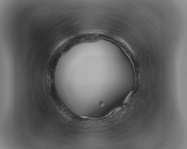 X0000110971064200906261403