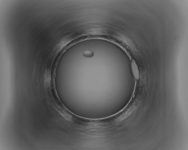 X0000110971065200906261403