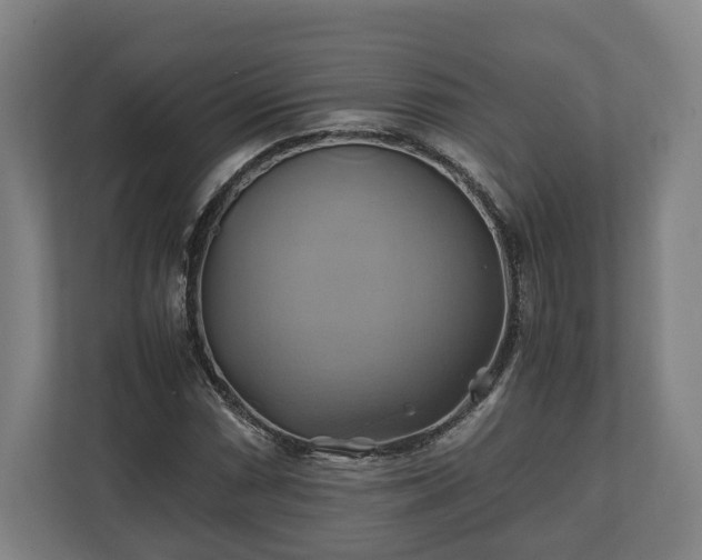 X0000110971066200906261403