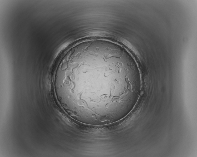 X0000110971067200906261403