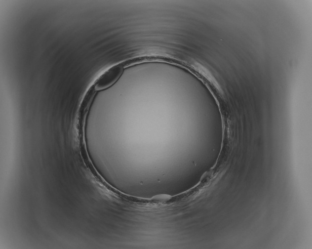 X0000110971068200906261403