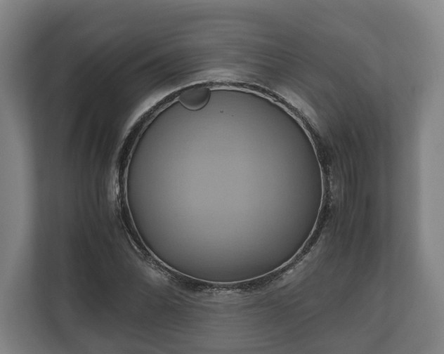 X0000110971070200906261403